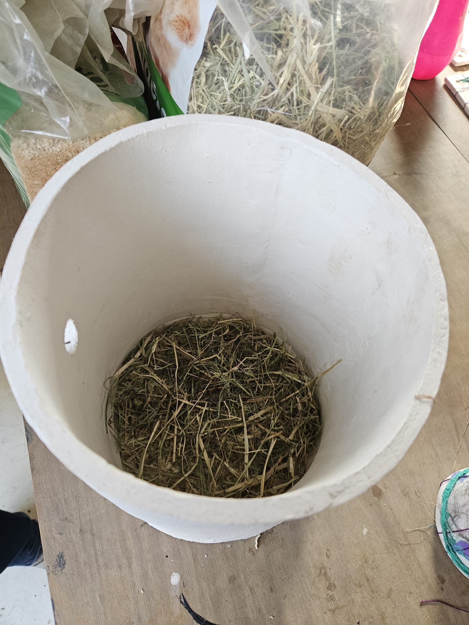 Laagje hooi in de Sagar